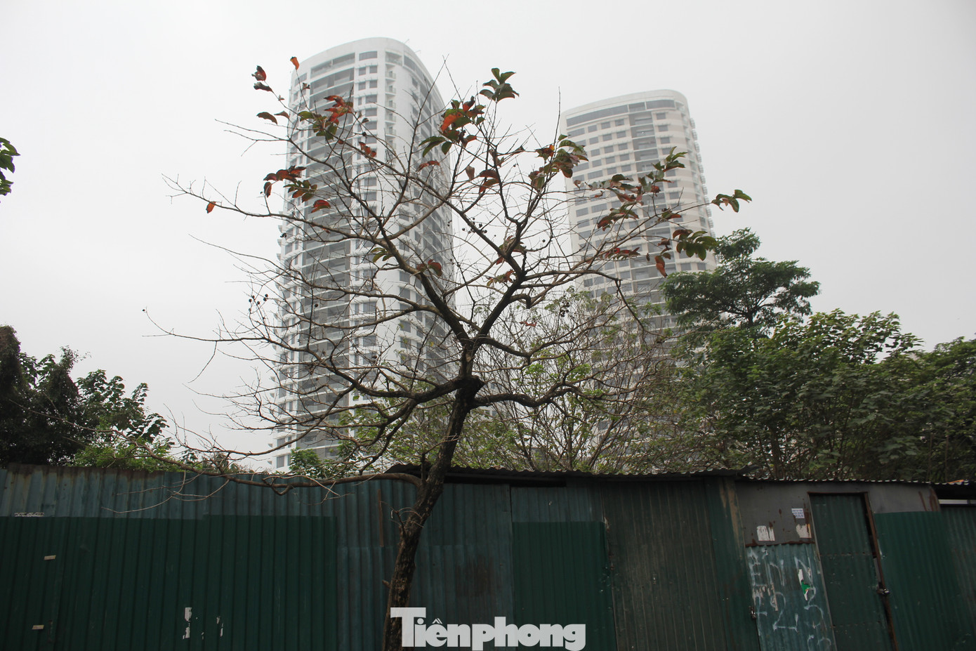 Constrexim Complex được UBND TP Hà Nội cấp giấy chứng nhận đầu tư từ tháng 7/2012, đến năm 2017 thì được Sở Quy hoạch - Kiến trúc ra văn bản chấp thuận tổng mặt bằng năm. Constrexim Complex được UBND TP Hà Nội cấp giấy chứng nhận đầu tư từ tháng 7/2012, đến năm 2017 thì được Sở Quy hoạch - Kiến trúc ra văn bản chấp thuận tổng mặt bằng năm.