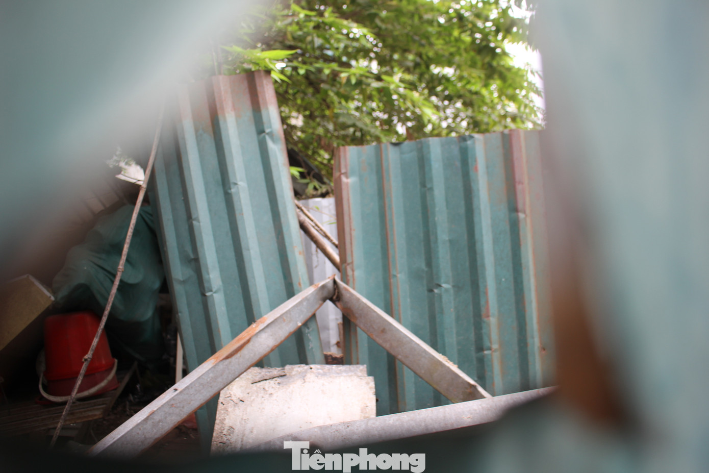 Ghi nhận thực tế, hiện tại toàn bộ dự án bị cây cối, cỏ dại bao phủ. Ghi nhận thực tế, hiện tại toàn bộ dự án bị cây cối, cỏ dại bao phủ.