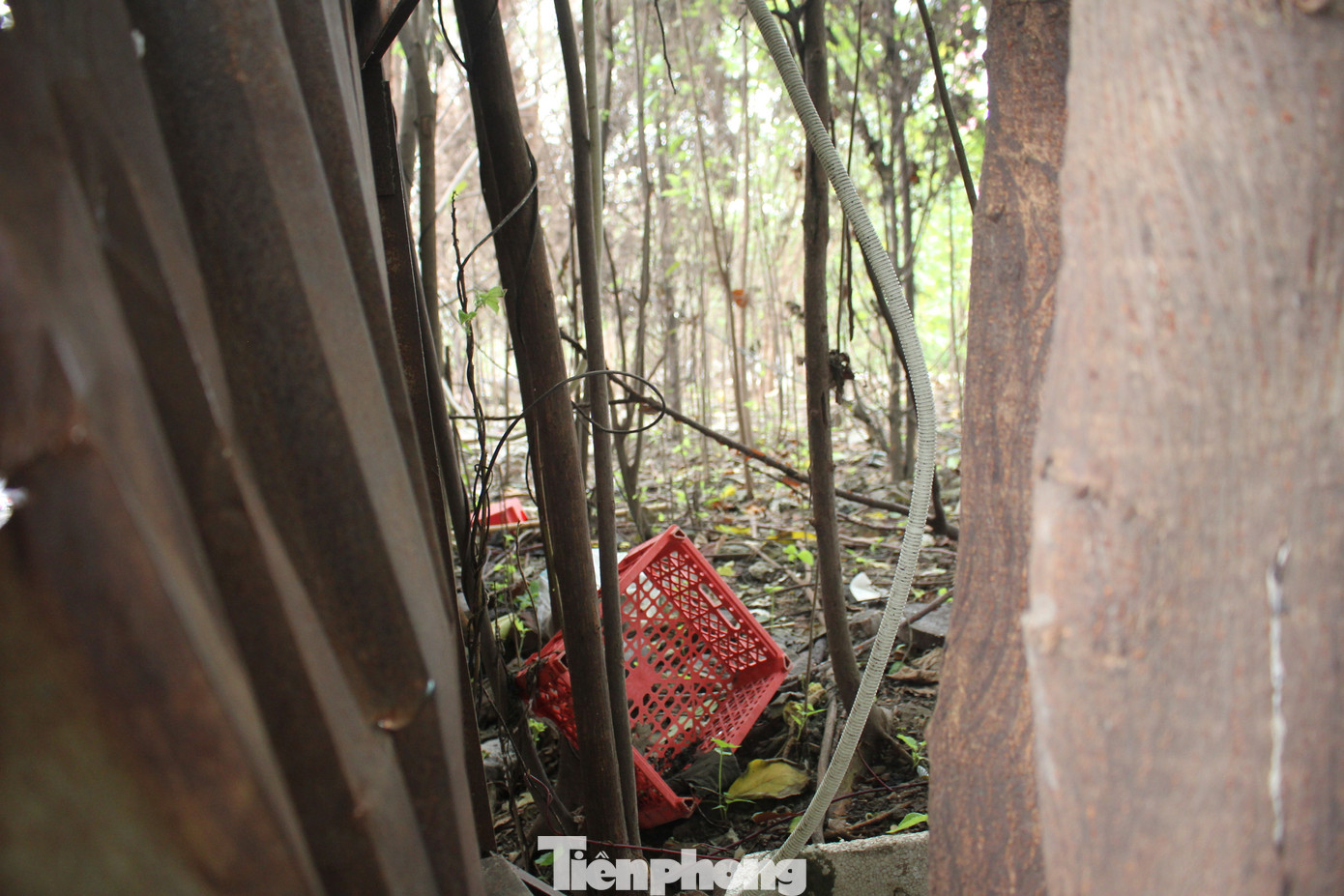 Tuy nhiên, kể từ khi “xóa sổ” chợ tạm nông sản Dịch Vọng Hậu, việc duy nhất chủ đầu tư thực hiện là quây tôn khu vực này rồi bỏ không. Tuy nhiên, kể từ khi “xóa sổ” chợ tạm nông sản Dịch Vọng Hậu, việc duy nhất chủ đầu tư thực hiện là quây tôn khu vực này rồi bỏ không.