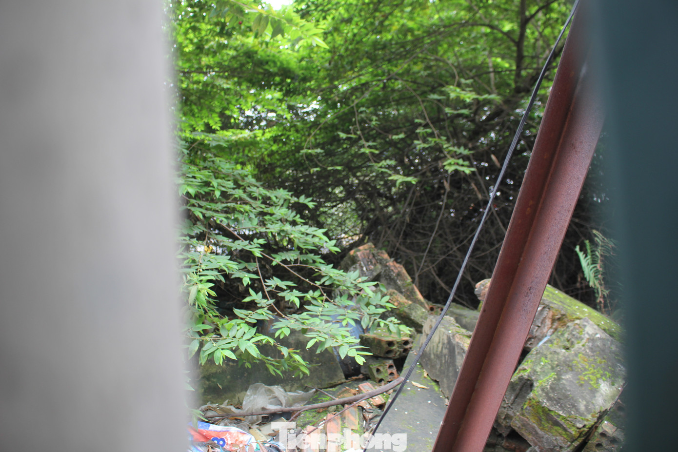 Ghi nhận thực tế, hiện tại toàn bộ dự án bị cây cối, cỏ dại bao phủ. Ghi nhận thực tế, hiện tại toàn bộ dự án bị cây cối, cỏ dại bao phủ.