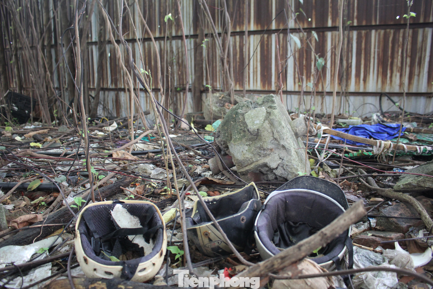 Ghi nhận thực tế, hiện tại toàn bộ dự án bị cây cối, cỏ dại bao phủ. Ghi nhận thực tế, hiện tại toàn bộ dự án bị cây cối, cỏ dại bao phủ.