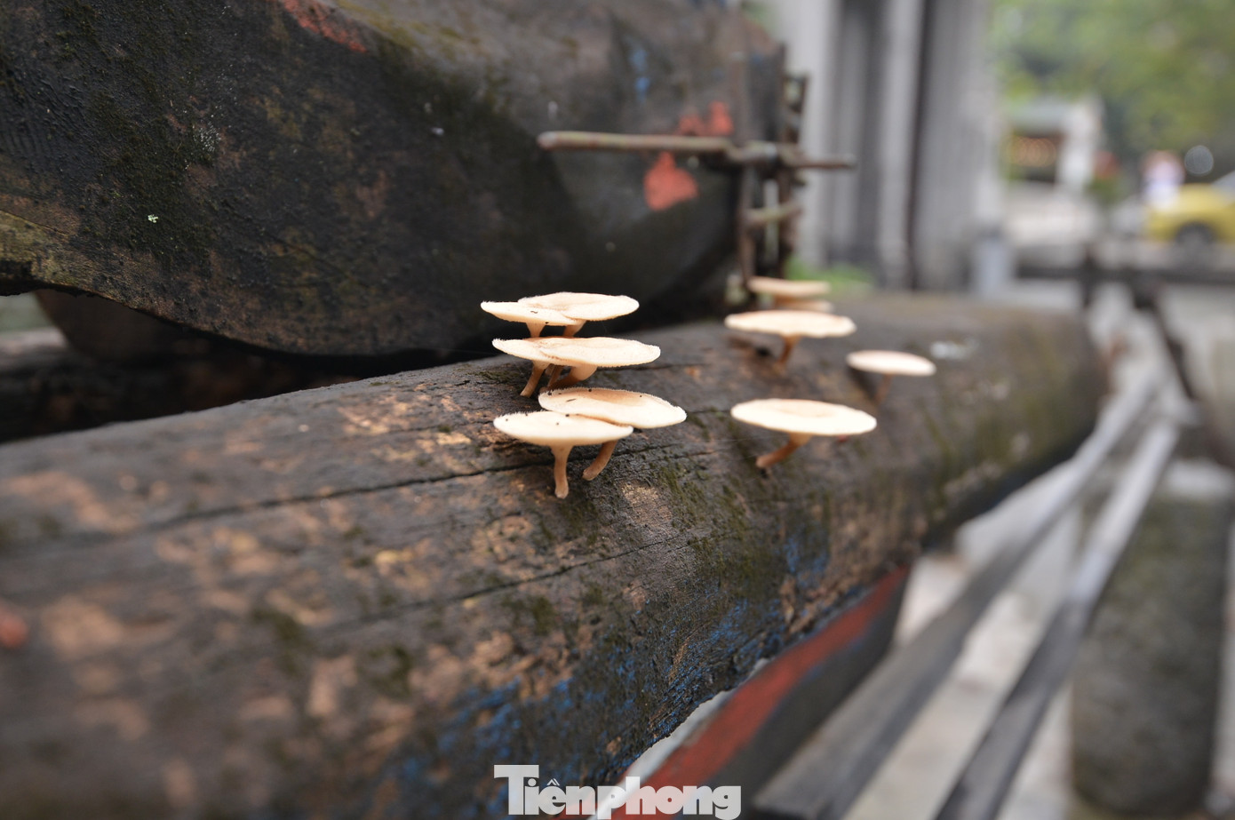 Nhiều du khách nước ngoài khi ghé thăm lâu đài đá này không khỏi trầm trồ và thán phục tài năng của các nghệ nhân người Việt. Bởi chỉ từ những phiến đá xù xì, thô sơ mà qua mài dũa đã tạo nên một công trình kiến trúc độc nhất vô nhị. Nhiều du khách nước ngoài khi ghé thăm lâu đài đá này không khỏi trầm trồ và thán phục tài năng của các nghệ nhân người Việt. Bởi chỉ từ những phiến đá xù xì, thô sơ mà qua mài dũa đã tạo nên một công trình kiến trúc độc nhất vô nhị.