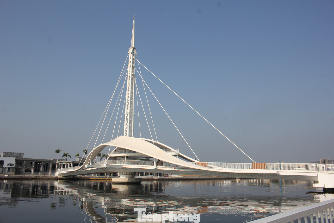 Cây cầu được thiết kế dựa trên hình tượng cá heo và con sò, với vẻ ngoài được tạo hình mang đầy tính nghệ thuật. Cây cầu được thiết kế dựa trên hình tượng cá heo và con sò, với vẻ ngoài được tạo hình mang đầy tính nghệ thuật.