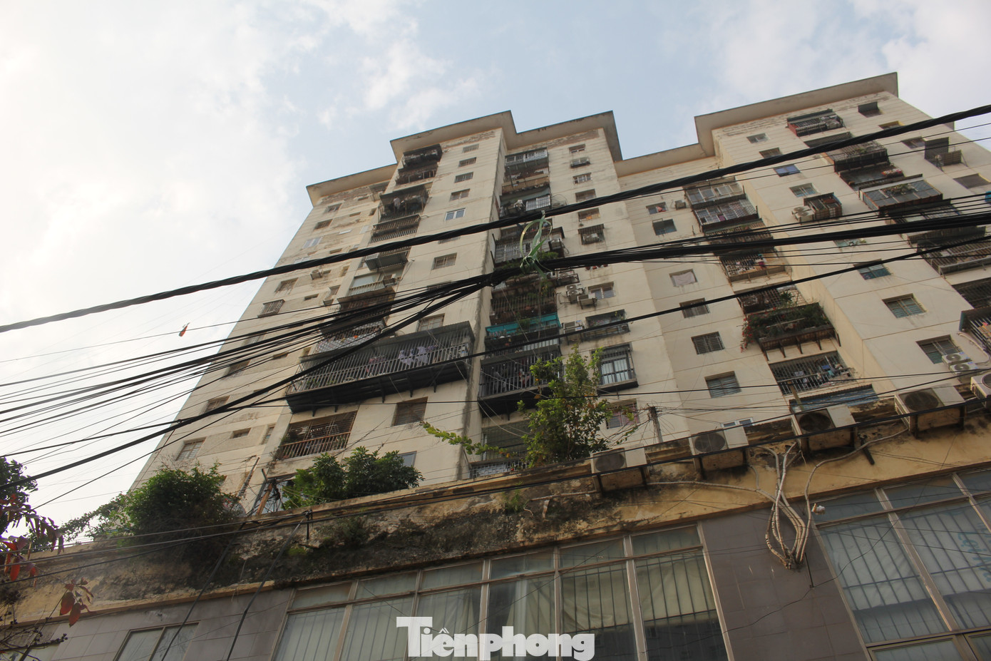 Theo luật sư, trong trường hợp thời hạn bảo hành chung cư theo quy định của Luật Nhà ở đã hết, thì phải có một điều khoản nguyên tắc xác định thời hạn bảo hành tối thiểu kể từ thời điểm người mua đặt bút ký hợp đồng hoặc kể từ thời điểm người mua nhận bàn giao căn hộ trên thực tế!.