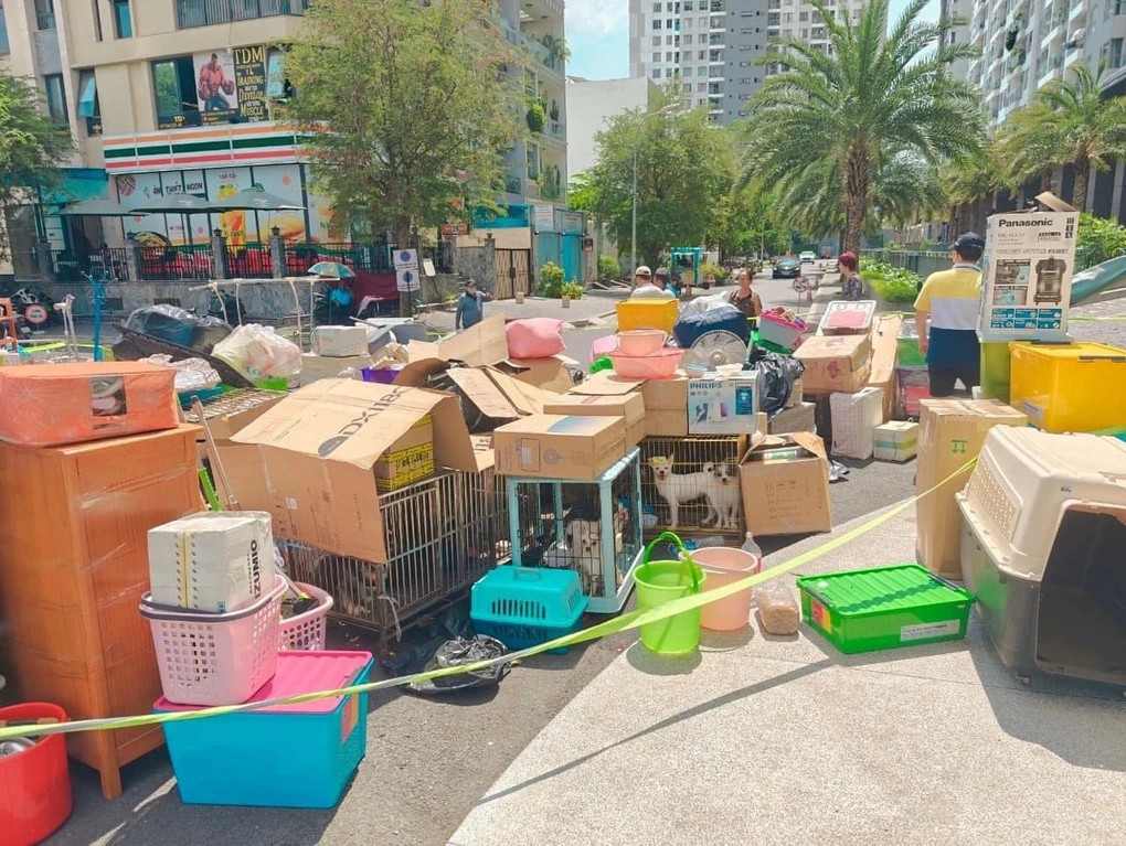 Đàn chó bị bỏ giữa trời nắng (Ảnh: Cư dân cung cấp). Đàn chó bị bỏ giữa trời nắng (Ảnh: Cư dân cung cấp).