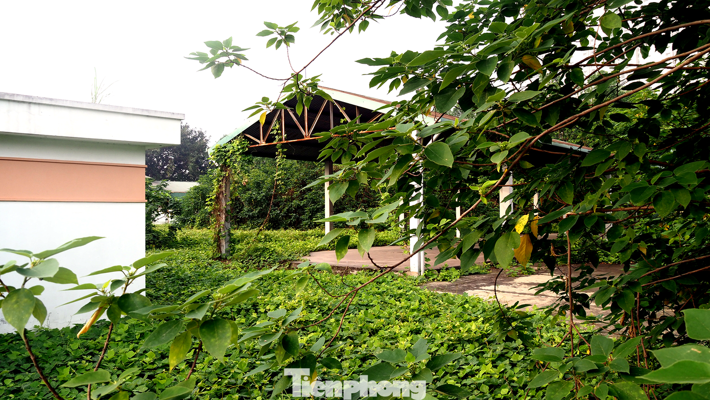 Dự án được chấp thuận vào ngày 7/5/2013. Tuy nhiên, sau khi xây dựng được hệ thống nhà quản lý, bảo vệ, tường rào và 1 cầu chợ, thì dự án dừng lại.