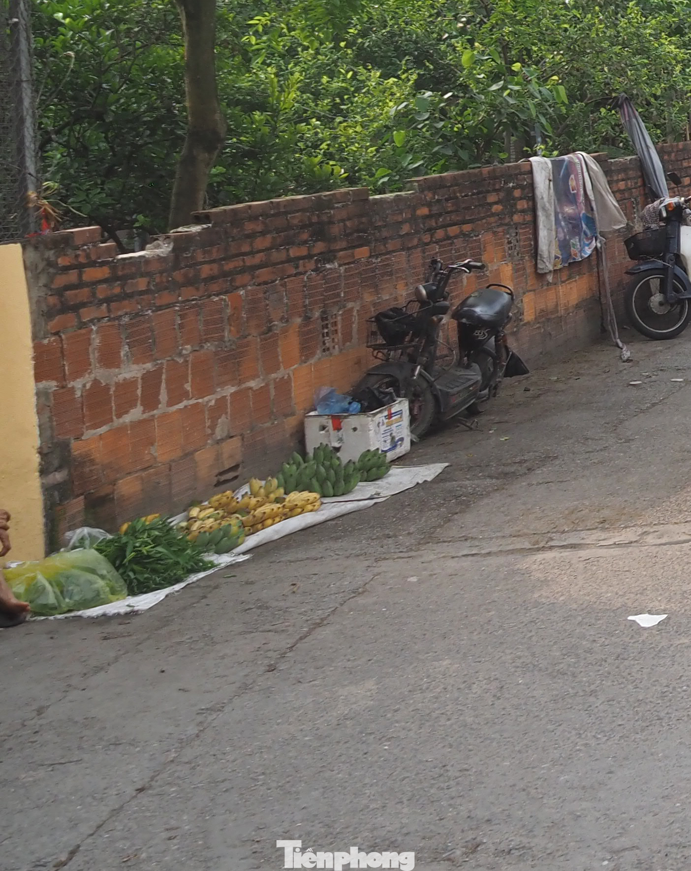 Liên quan đến các dự án chợ, năm 2023, UBND TP Hà Nội đã ban hành kế hoạch xây mới 48 dự án chợ, cải tạo 57 chợ. Việc xây mới chợ nhằm làm giảm tình trạng chợ cóc, chợ tạm phát sinh gây mất mỹ quan đô thị, mất an toàn giao thông.