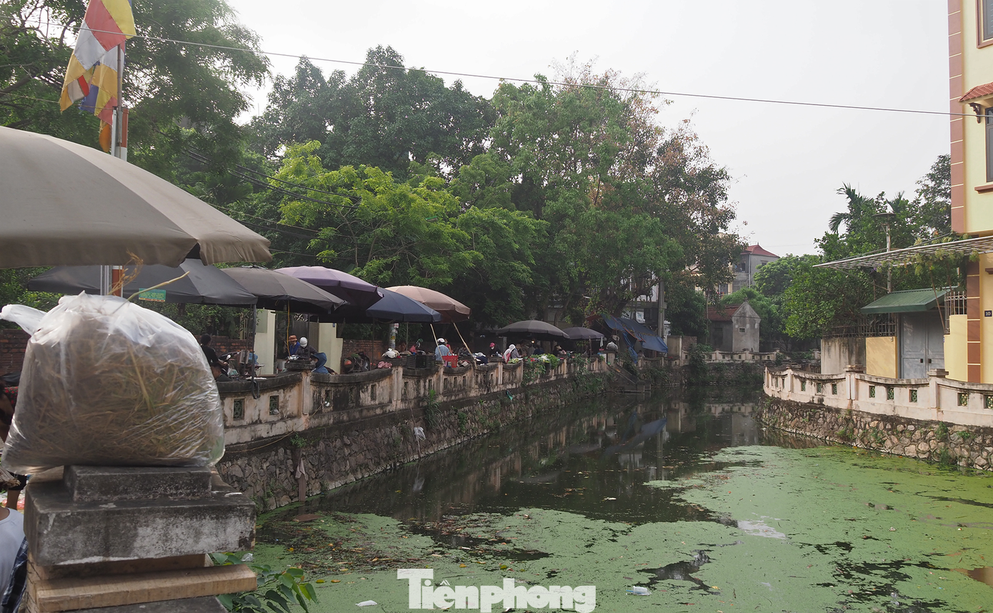 Trước tình trạng chợ xây xong bỏ hoang, nhiều chuyên gia cho rằng, để ngăn tình trạng này, trước khi lập dự án, chính quyền cấp cơ sở cùng các ngành liên quan nên phối hợp chặt chẽ. Để từ đó đưa ra những nghiên cứu kỹ việc xây dựng cho phù hợp, phát huy được hết công năng.