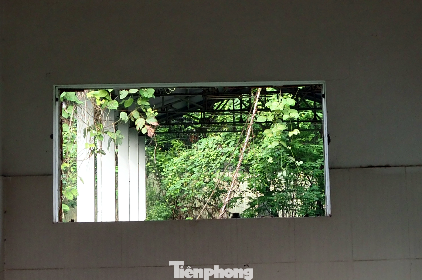 Do chợ tọa lạc bên cạnh nghĩa trang địa phương nên rất ít người lai vãng.