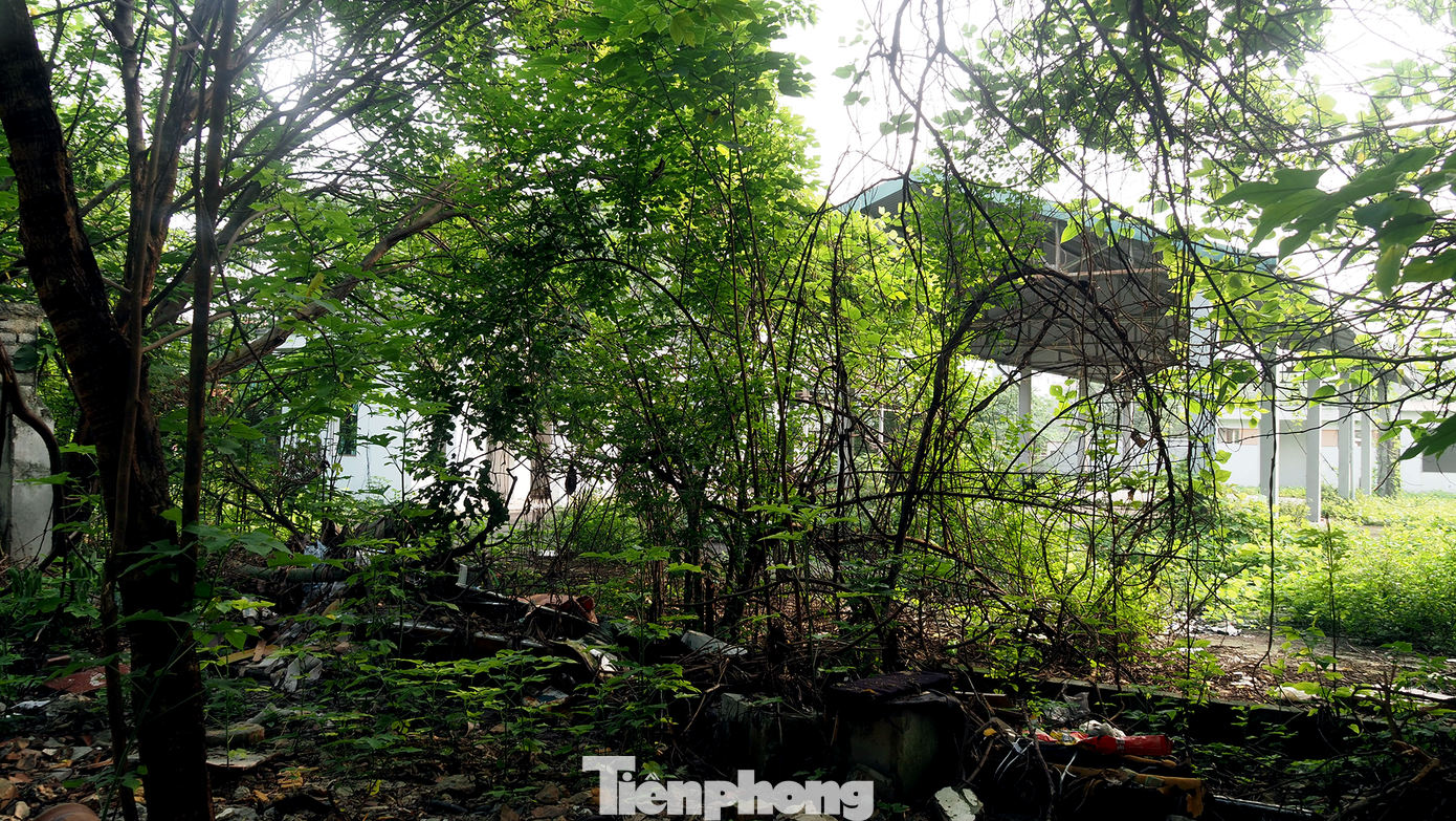 Dự án được chấp thuận vào ngày 7/5/2013. Tuy nhiên, sau khi xây dựng được hệ thống nhà quản lý, bảo vệ, tường rào và 1 cầu chợ, thì dự án dừng lại.