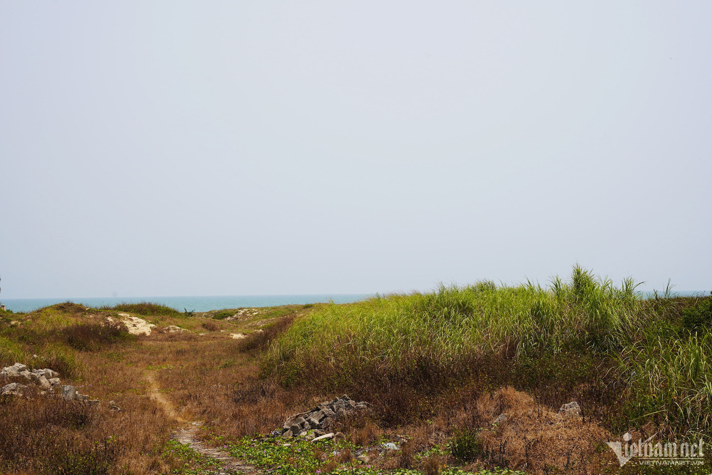 Dự án Khu du lịch biển Non Nước có diện tích 3,77 ha, được chính quyền Đà Nẵng cấp cho Công ty I.V.C của ông Vũ "Nhôm" năm 2014.