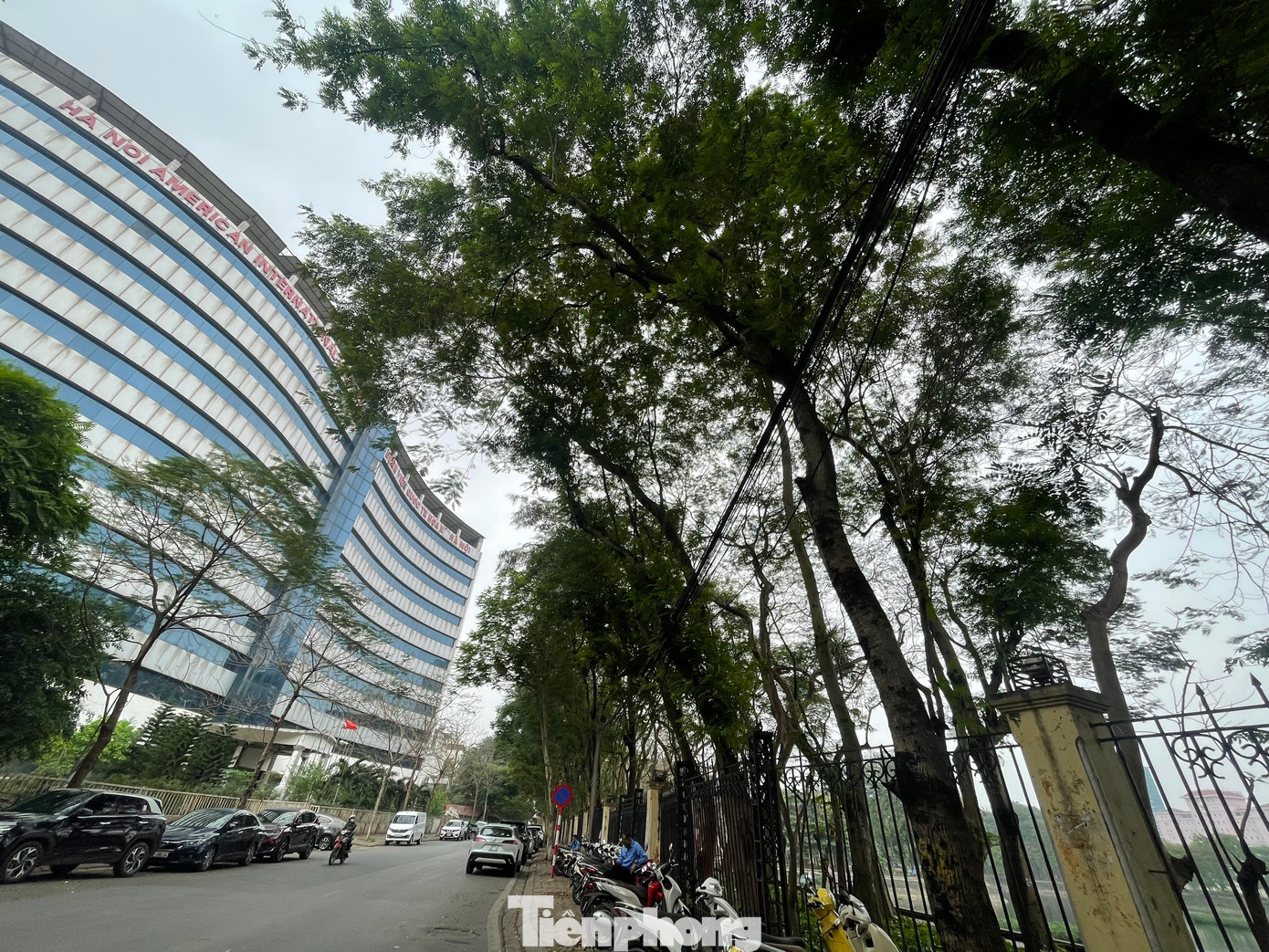 Theo quan sát, dự án có vị trí khá đắc địa khi đối diện công viên Nghĩa Đô, nằm trong khuôn viên Làng quốc tế Thăng Long, gần các trường đại học lớn, bến xe và sân vận động Mỹ Đình.