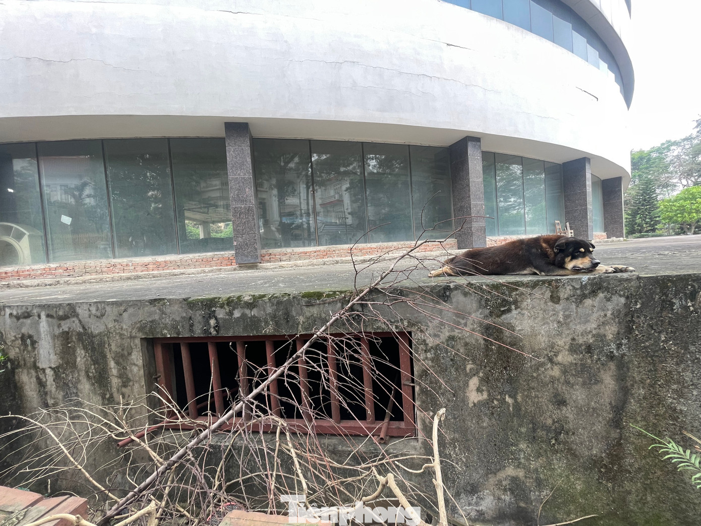 Tuy nhiên, từ năm 2012 đến nay, toàn bộ các hạng mục của bệnh viện quốc tế Hoa Kỳ Hà Nội vẫn nằm im, không có một dấu hiệu nào về việc tiếp tục xây dựng.