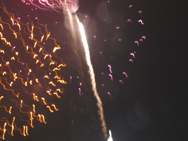 Những tia sáng như cánh chim gọi Xuân về.