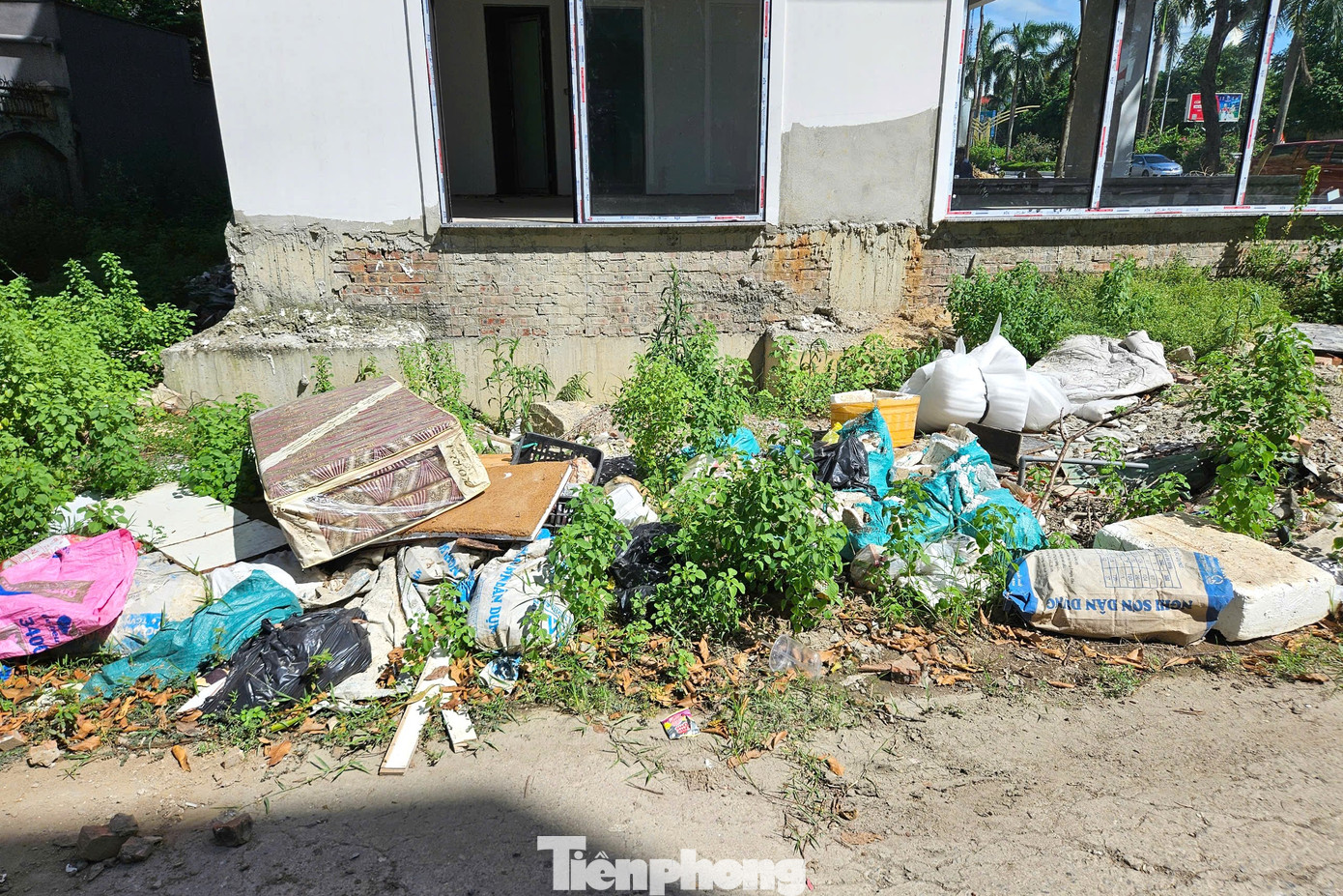 Rác thải tràn lan trên Đại lộ LêNin gây ô nhiễm môi trường nghiêm trọng.