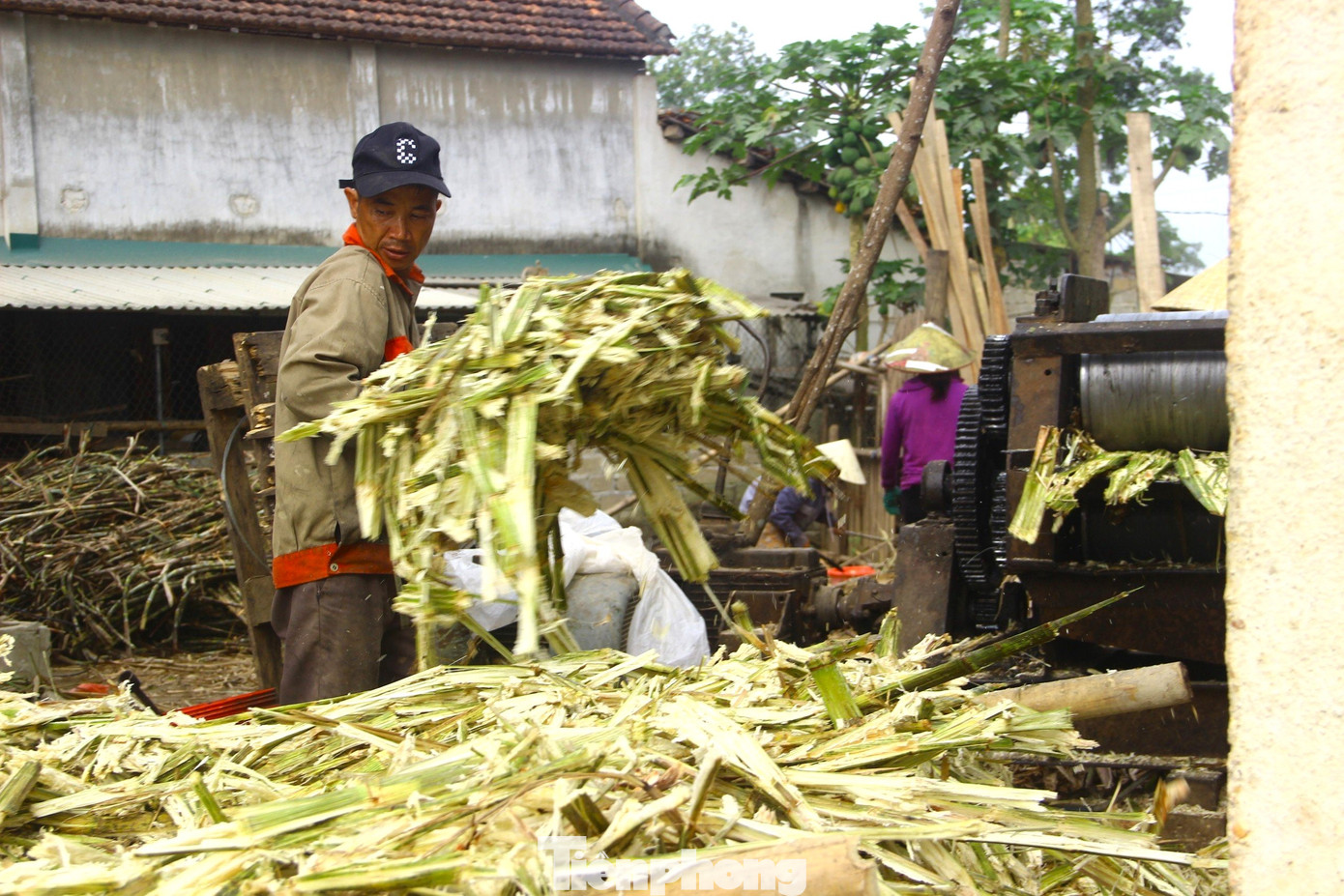 Sau khi ép, bã mía được vắt sạch nước. Phần nước mía được lọc qua dụng cụ bằng vải màn để lấy hết phần cặn bã, còn phần bã được phơi khô để làm chất đốt.