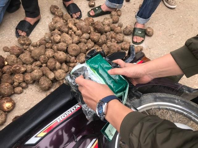 Ma túy được giấu trong bì khoai sọ