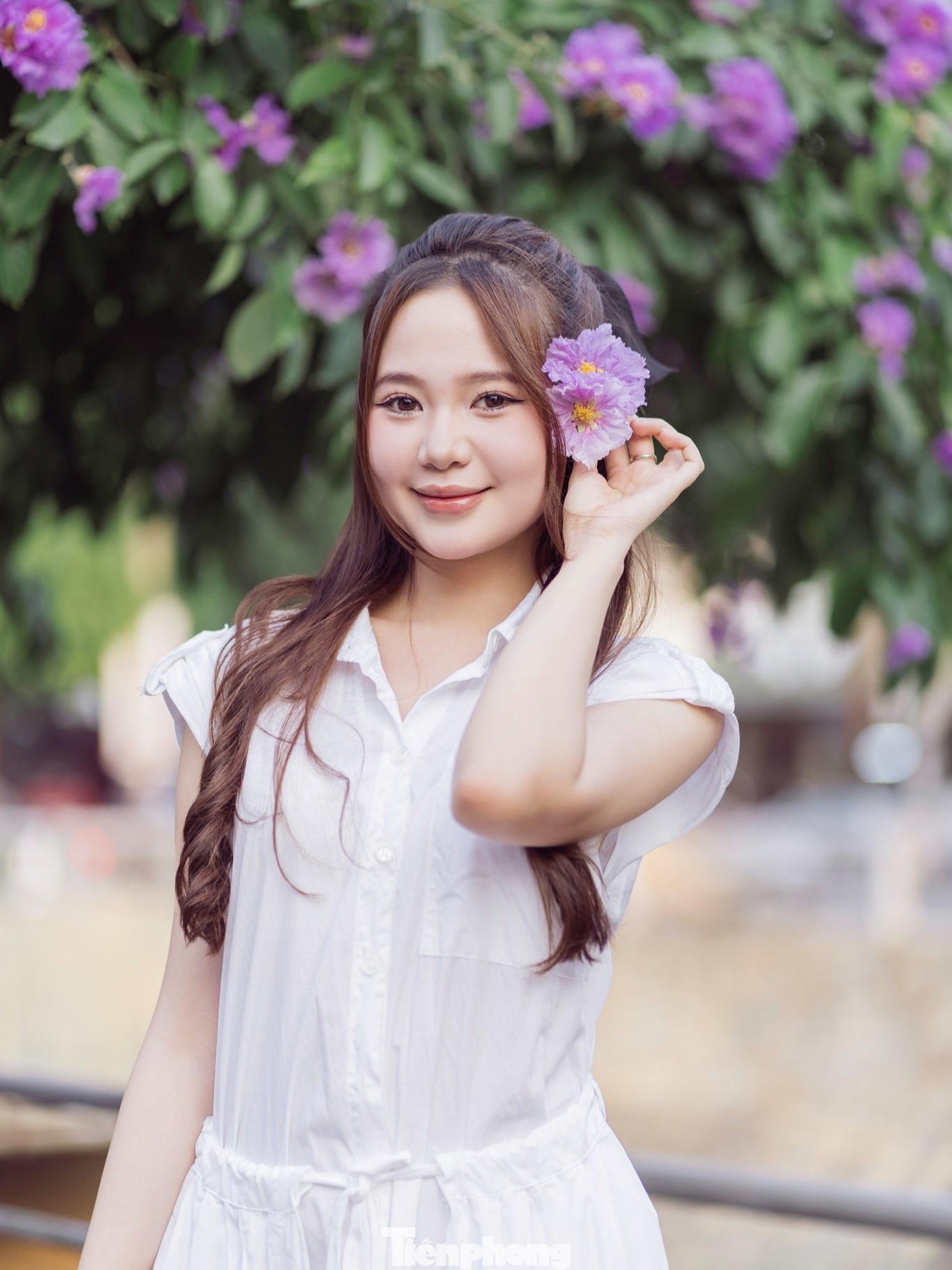 Thả dáng bên hoa bằng lăng...