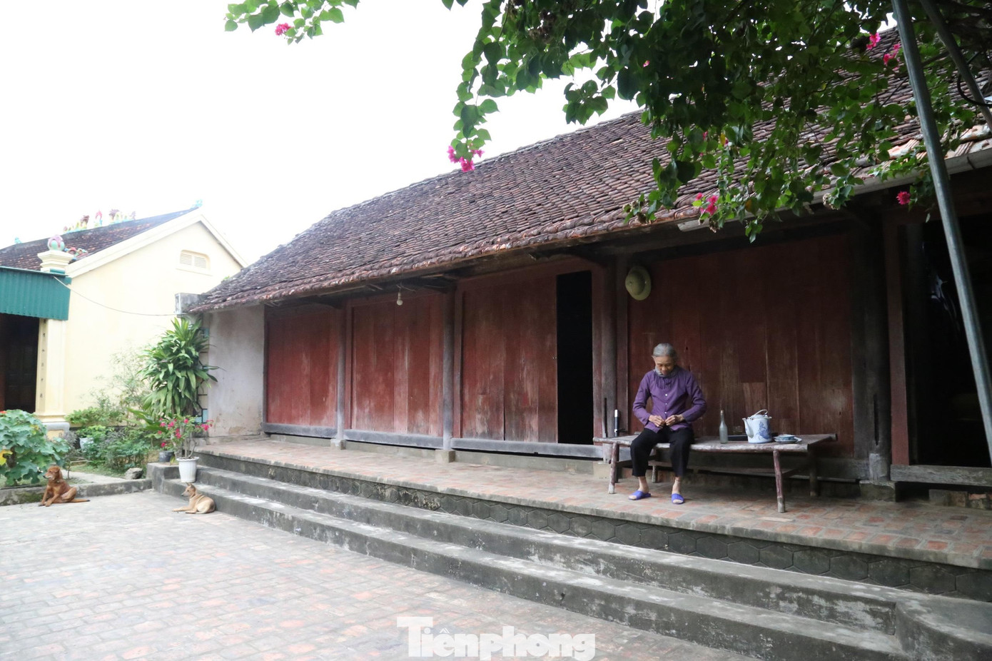 Qua hàng trăm năm tồn tại, các ngôi nhà cổ vẫn tiếp tục là những mái ấm chở che, sinh sống của các gia đình. Theo bà Liên, đến hiện tại ngôi nhà đã lưu truyền qua 5 thế hệ.