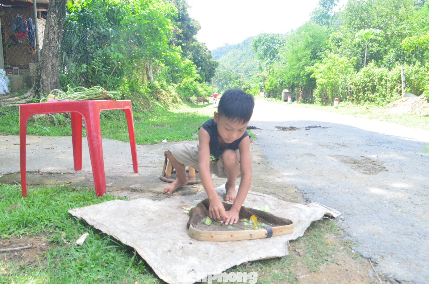 Các em nhỏ háo hức bắt bướm