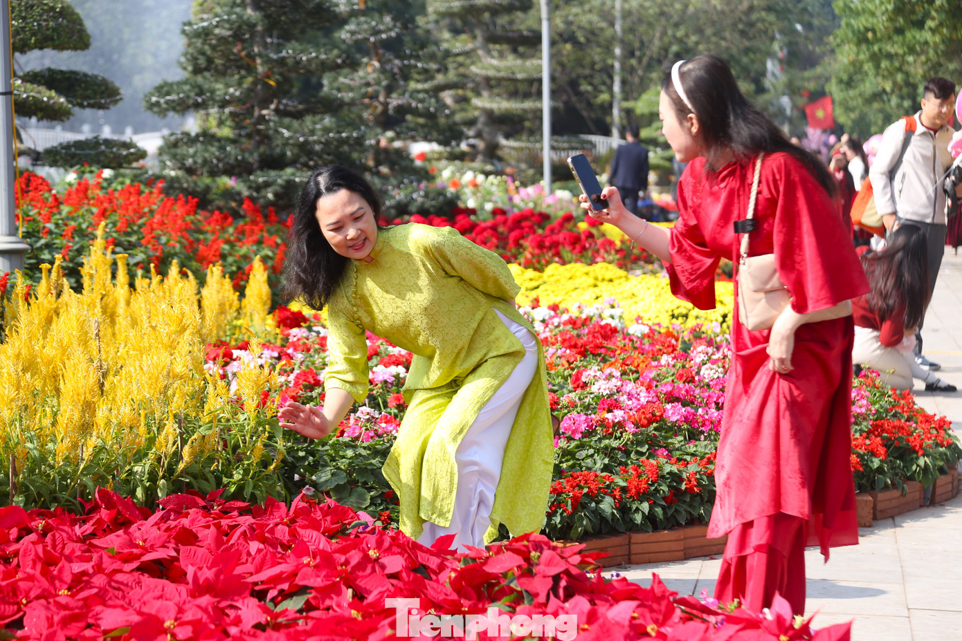 Con đường rực rỡ sắc hoa gây ấn tượng mạnh, thu hút đông người dân đến chụp ảnh, lưu giữ khoảnh khắc đẹp. Con đường rực rỡ sắc hoa gây ấn tượng mạnh, thu hút đông người dân đến chụp ảnh, lưu giữ khoảnh khắc đẹp.