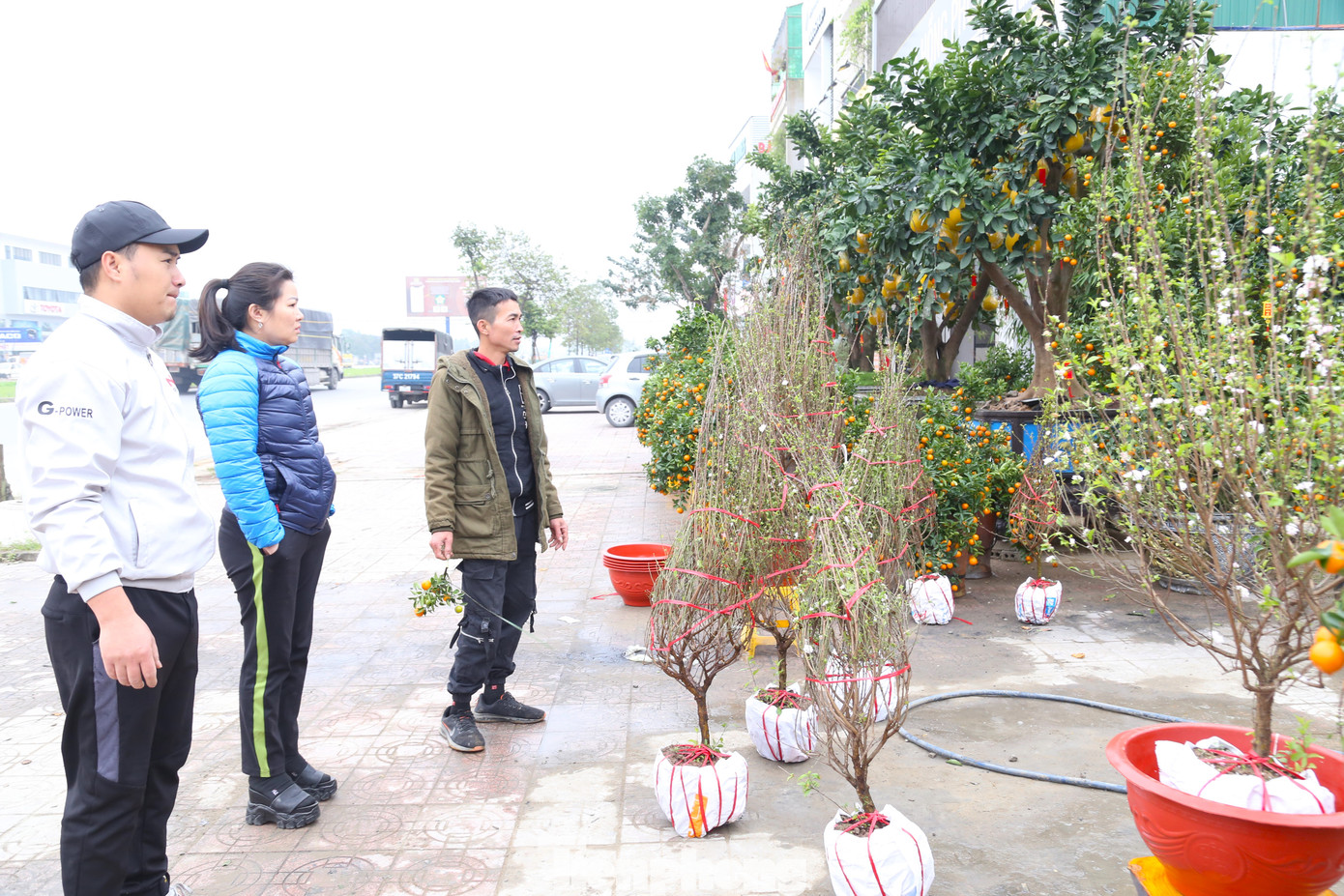 Lượng khách đi mua hoa, cây cảnh Tết những ngày qua thưa thớt.