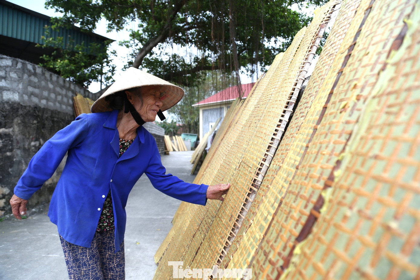 “Phơi bánh là khâu quan trọng nhất, quyết định chất lượng sản phẩm. Bánh phơi phải được lật trở đều tay. Những hôm nắng hanh thì phải nhanh tay thu gom để bánh không bị quá giòn, đứt gãy. Bánh không đủ nắng sẽ bị ỉu và xỉn màu”, bà Huệ cho hay.