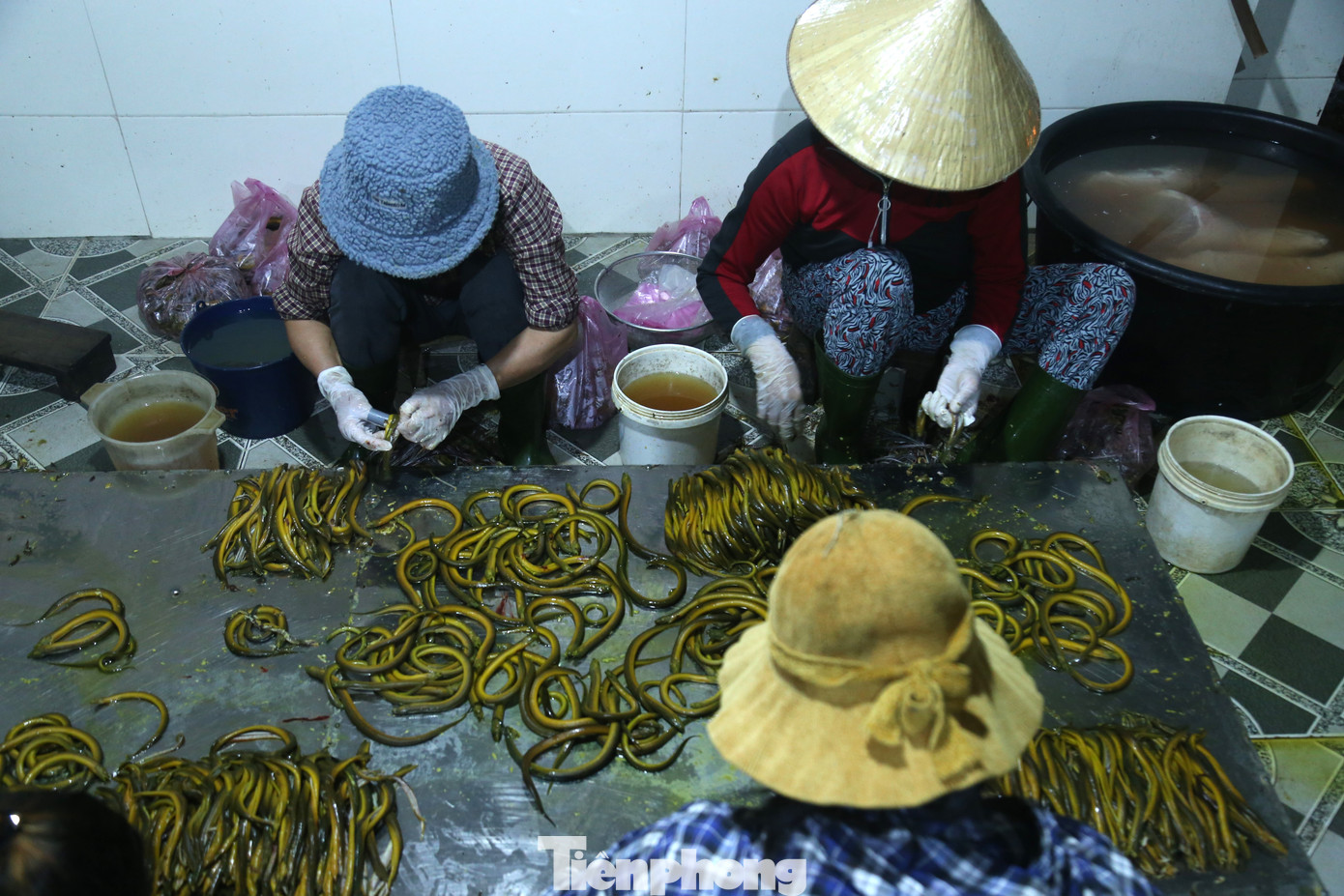 Chị Phạm Thị Quỳnh, một người làm nghề sơ chế lươn chia sẻ: “Tôi làm nghề sơ chế lươn được 4 năm. Làm nghề này không quá vất vả, không dầm mưa dãi nắng, nhưng cần nhanh nhẹn và khéo tay. Bình quân mỗi ngày, tôi có thể làm được từ 6-8 kg lươn thành phẩm được chủ cơ sở trả 200 nghìn đồng tiền công”. Chị Phạm Thị Quỳnh, một người làm nghề sơ chế lươn chia sẻ: “Tôi làm nghề sơ chế lươn được 4 năm. Làm nghề này không quá vất vả, không dầm mưa dãi nắng, nhưng cần nhanh nhẹn và khéo tay. Bình quân mỗi ngày, tôi có thể làm được từ 6-8 kg lươn thành phẩm được chủ cơ sở trả 200 nghìn đồng tiền công”.