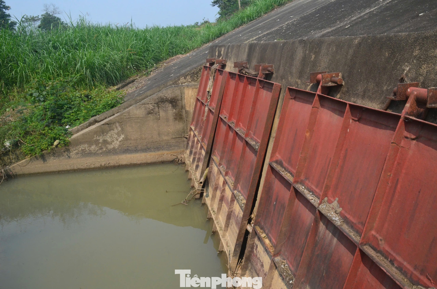Phần cửa sắt cống được chèn bằng các cây tre để tạo kẽ hở cho nước từ khu đất sản xuất chảy ra sông Hiếu.