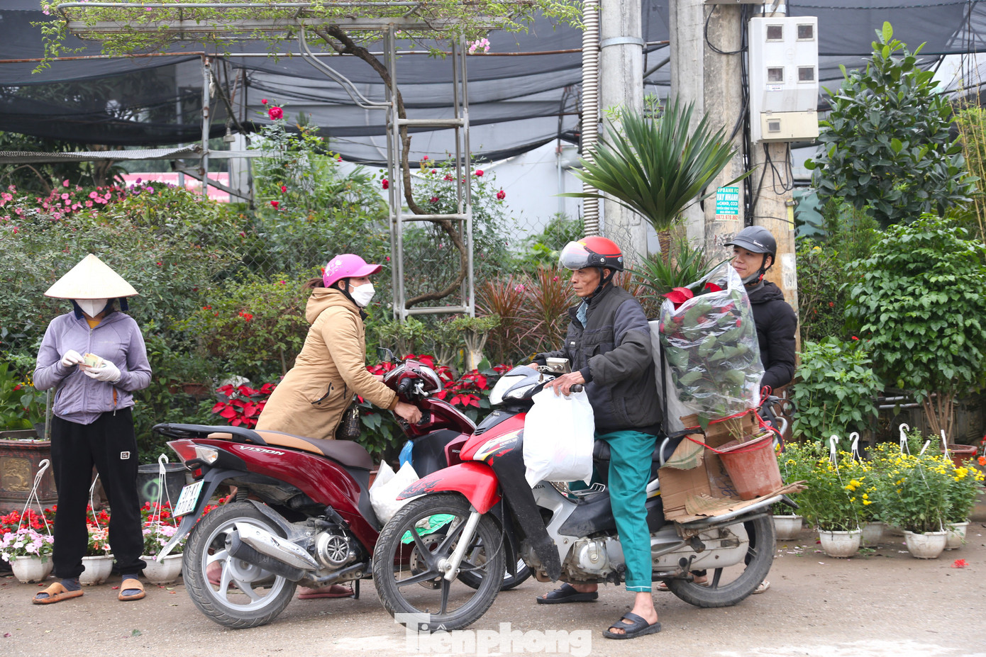 Người dân tranh thủ đi lựa những chậu hoa, cây cảnh ưng ý.