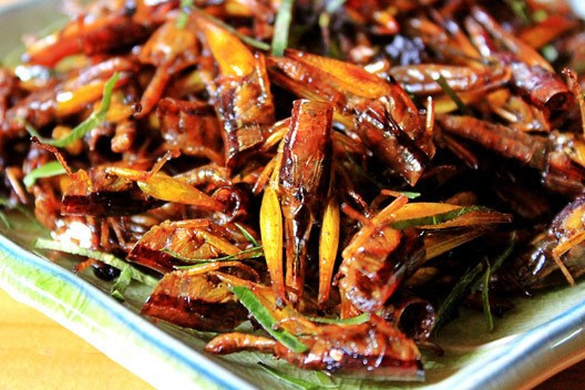 Chị N. tử vong sau khi ăn cào cào