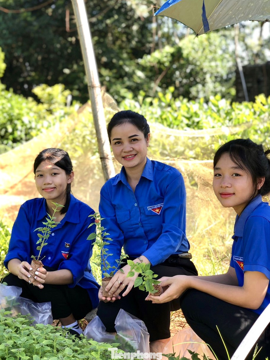 Đoàn viên thanh niên xã Châu Bình bán giống hoa gây quỹ