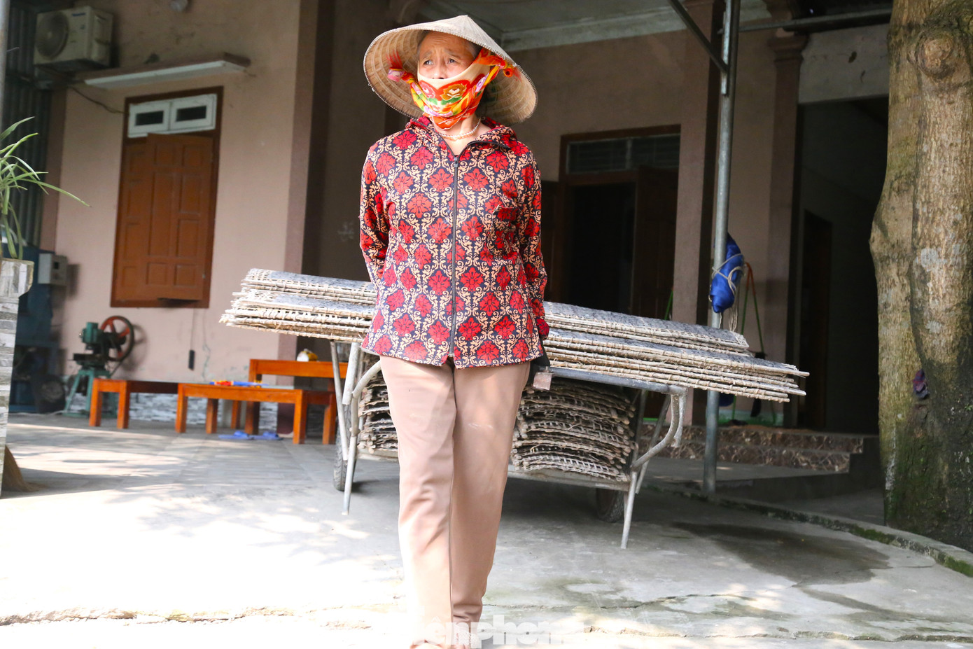 Bánh sau khi tráng sẽ được mang đi phơi.