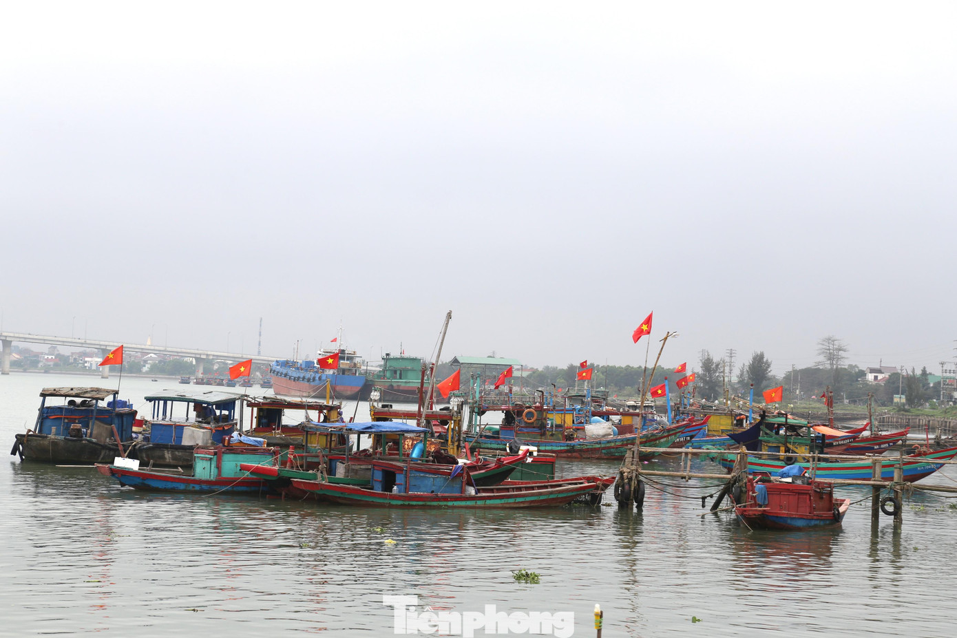 Ghi nhận sáng 17/3, từ cảng cá Cửa Hội đến cảng TX Cửa Lò (Nghệ An), đâu đâu cũng chật ních tàu, thuyền của ngư dân. Khung cảnh vắng vẻ, đìu hiu. Nhiều chủ tàu ra khơi 1-2 chuyến đầu năm đều phải bù lỗ trăm triệu đồng chi phí nhiên liệu.