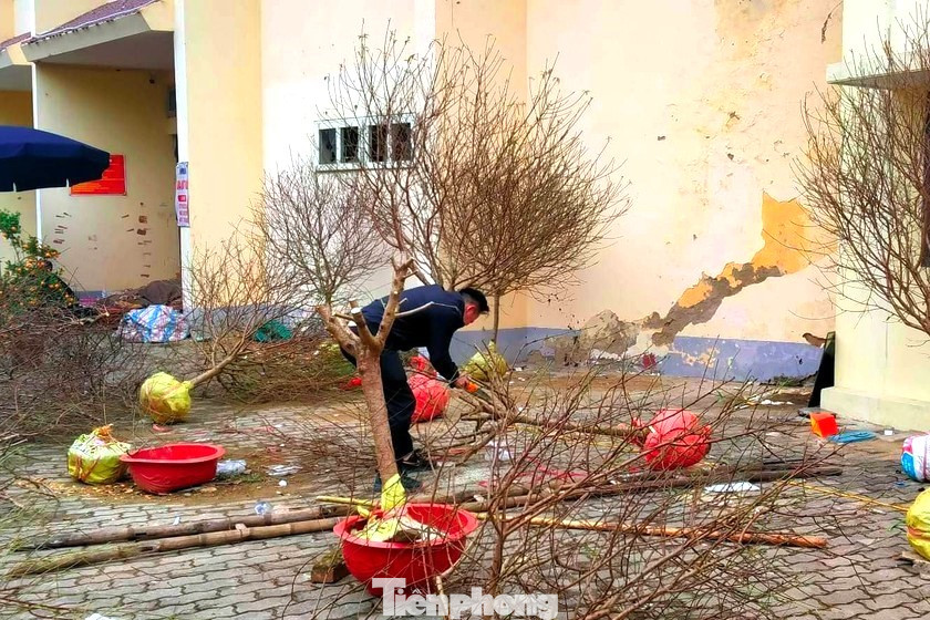 Tại khu vực bán đào Tết xung quanh Thành cổ Vinh và sân bóng đá Vinh, một số gốc đào đã bị chặt toàn bộ cành lá, nằm lăn lóc dưới nền hoặc chất thành từng đống.