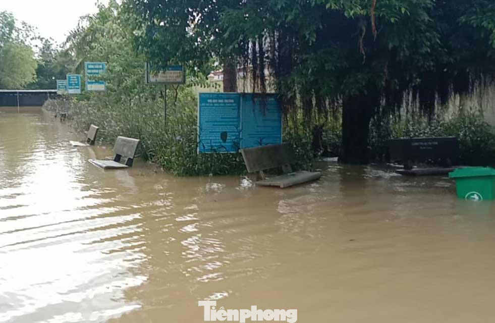 Khuôn viên trường ngập sâu trong nước Khuôn viên trường ngập sâu trong nước