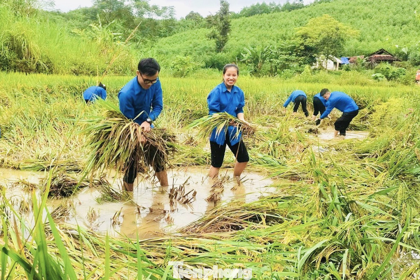 Gia đình ông Phan Văn Tuất (trú xóm Vĩnh Thành, xã Đồng Văn) là hộ nghèo. Khi được lực lượng đoàn viên thanh niên trên địa bàn hỗ trợ thu hoạch lúa, ông không giấu được niềm vui. “Nhà neo người, lúa lại đi ngâm nước nhiều ngày, có cây đã mọc mầm. Nếu không có các cháu đoàn viên thanh niên giúp, tôi chưa biết xoay xở thế nào”, ông Tuất chia sẻ.