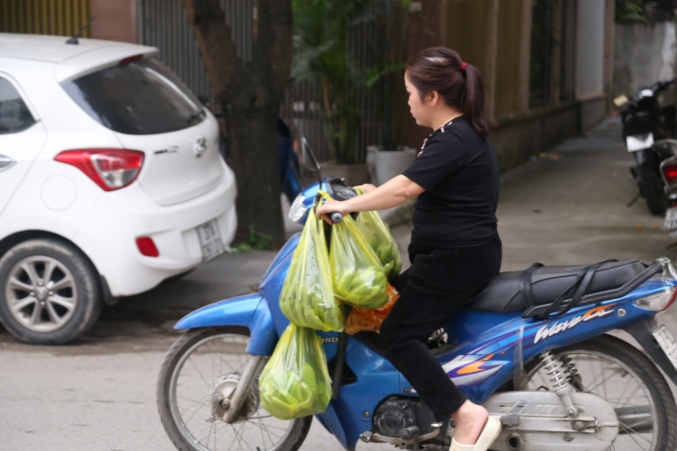 Là vật phẩm không thể thiếu trên bàn thờ gia tiên nên dù giá cao, chuối xanh vẫn đắt khách.