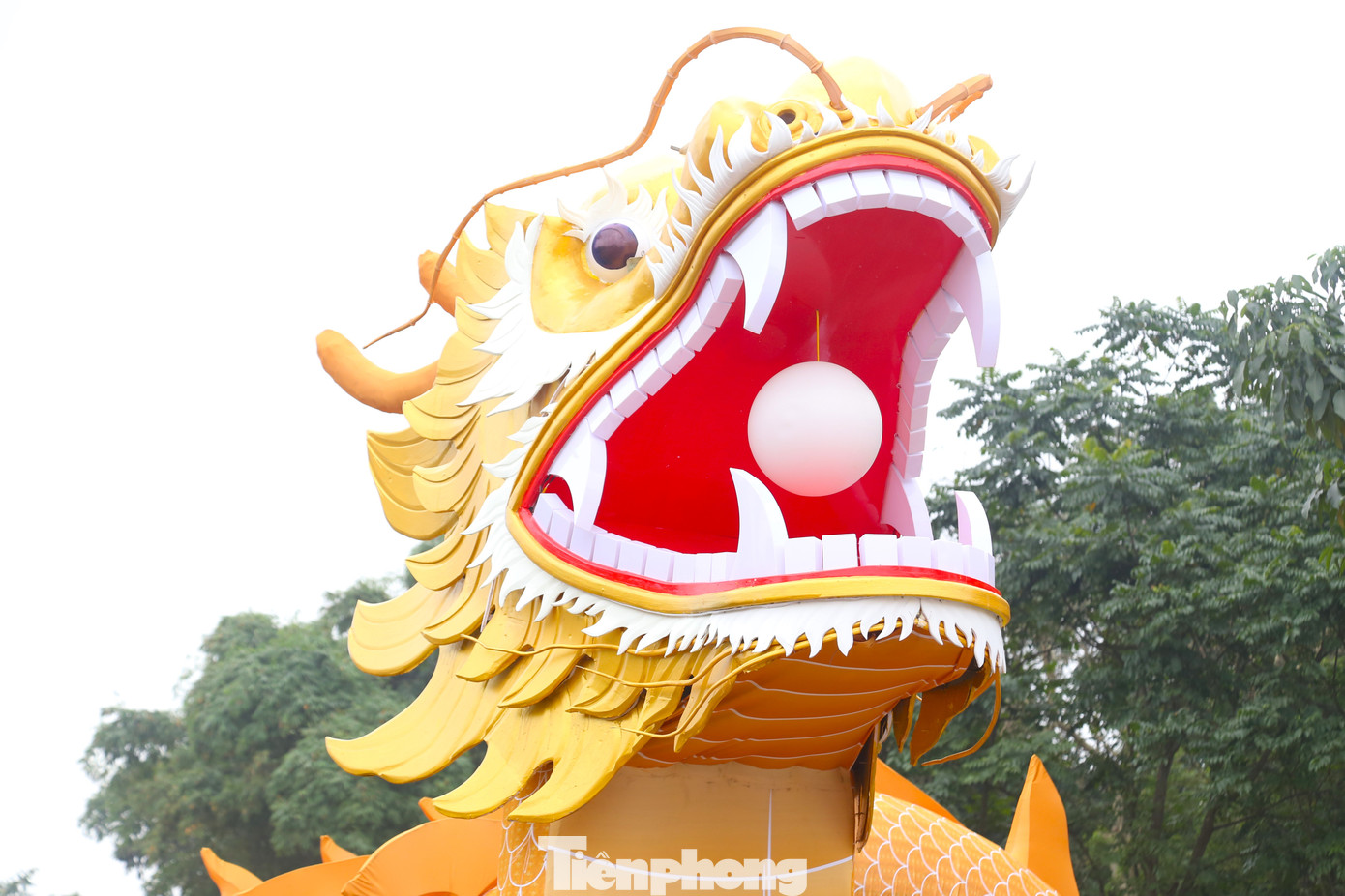 Toàn bộ thân rồng được lắp đèn trang trí, phát sáng trong đêm, miệng rồng ngậm viên ngọc sáng.