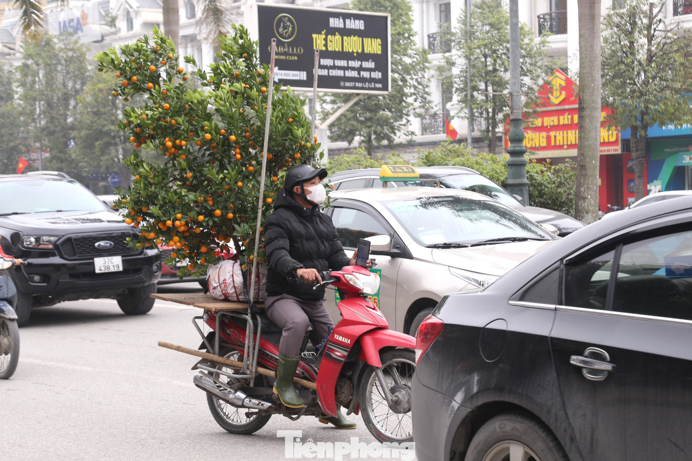 Nghề chở đào, quất thuê dịp Tết giúp cánh tài xế kiếm tiền triệu mỗi ngày.