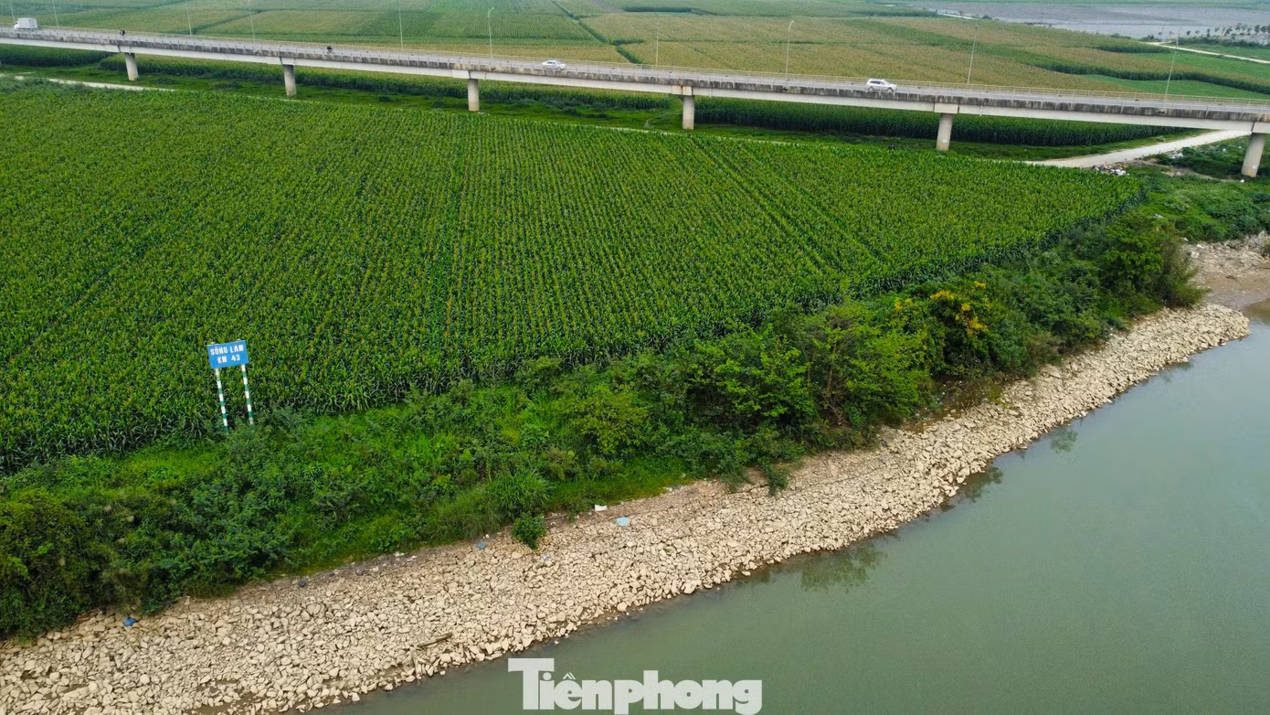 “Địa phương đã triển khai kế hoạch trồng cây chắn sóng, trồng hàng ngàn cây keo tại các khu vực sạt lở, nhưng các biện pháp này không mang lại hiệu quả như mong muốn. Sau đó, cơ quan chức năng và địa phương đã tiến hành kè đá ven sông Lam để chống sạt lở. Đến nay, những đoạn đã được kè cho thấy hiệu quả rõ rệt. Tuy nhiên, những khu vực chưa được kè vẫn tiếp tục bị sạt lở hằng năm, gây ảnh hưởng lớn đến sản xuất nông nghiệp của người dân”, ông Chiến cho hay.