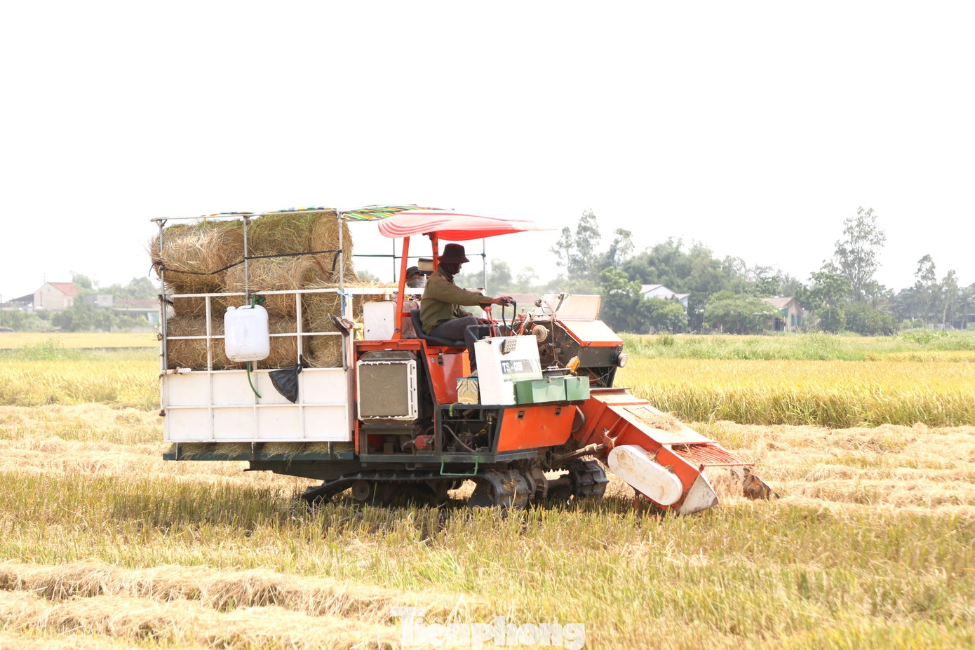 Làm nghề thu gom rơm đã hơn 10 năm nay, anh Hoàng Văn Anh (SN 1987, trú xã Hưng Tây, huyện Hưng Nguyên, Nghệ An), cho biết: Trước đây, bà con thường huy động sức người để gom rơm mang về dự trữ làm thức ăn cho gia súc. Nhà nào không dùng thì đốt bỏ, không những lãng phí mà còn gây ô nhiễm môi trường. Để tận dụng nguồn phụ phẩm này, anh chủ động tìm hiểu đầu tư mua máy thu rơm và cung ứng cho thị trường.