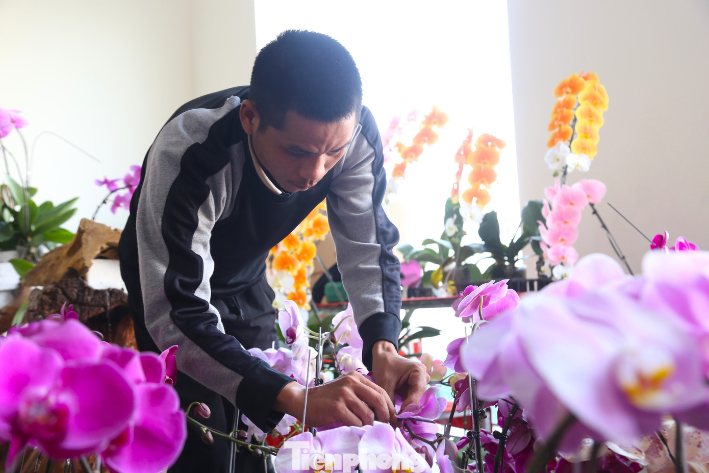 Dịp này, chị Thủy Víc phải thuê thêm 5 thợ chính và 10 thợ phụ.