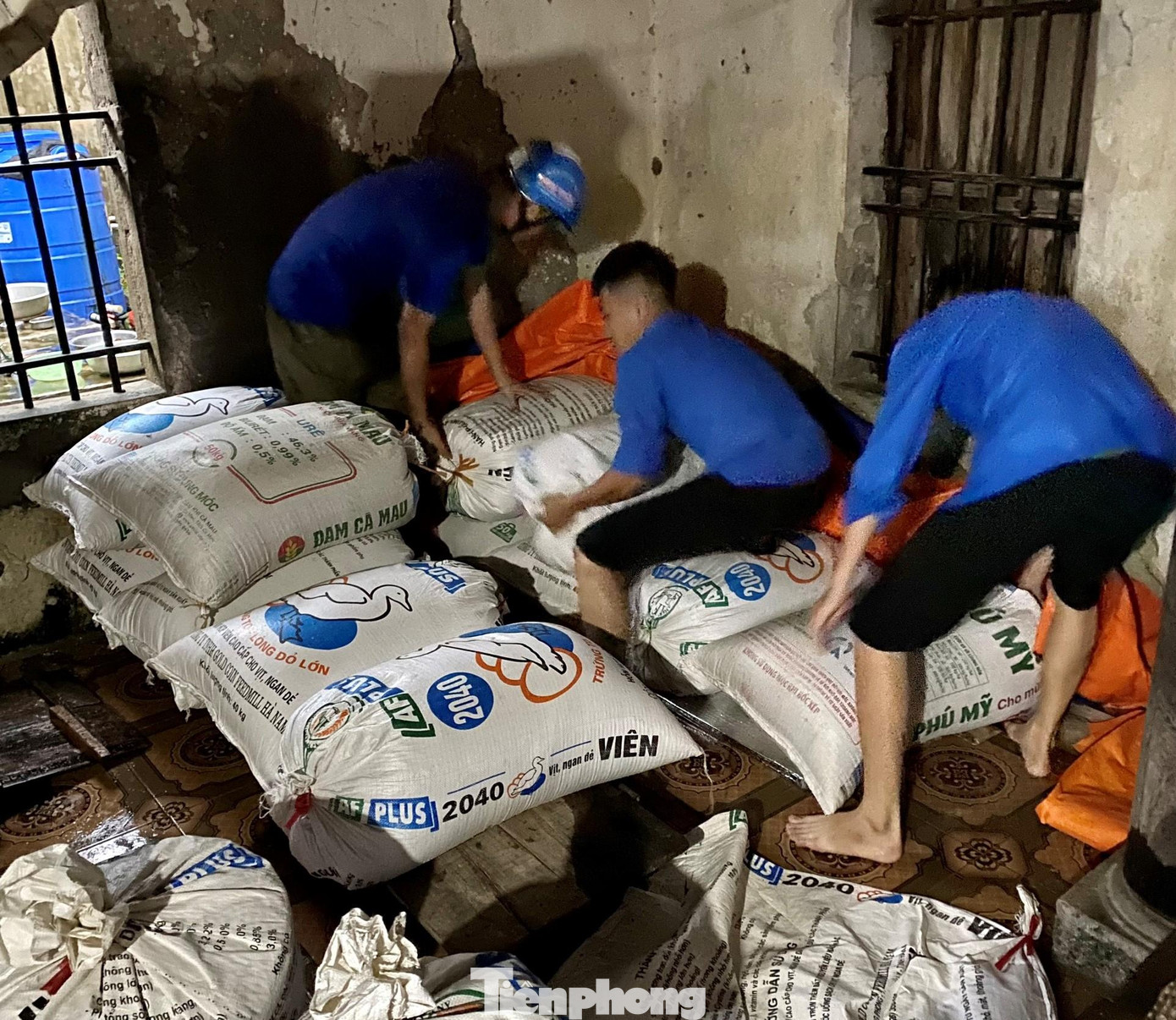 Kê cao lúa giúp người dân