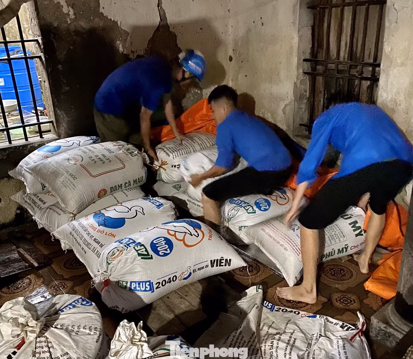 Kê cao lúa giúp người dân