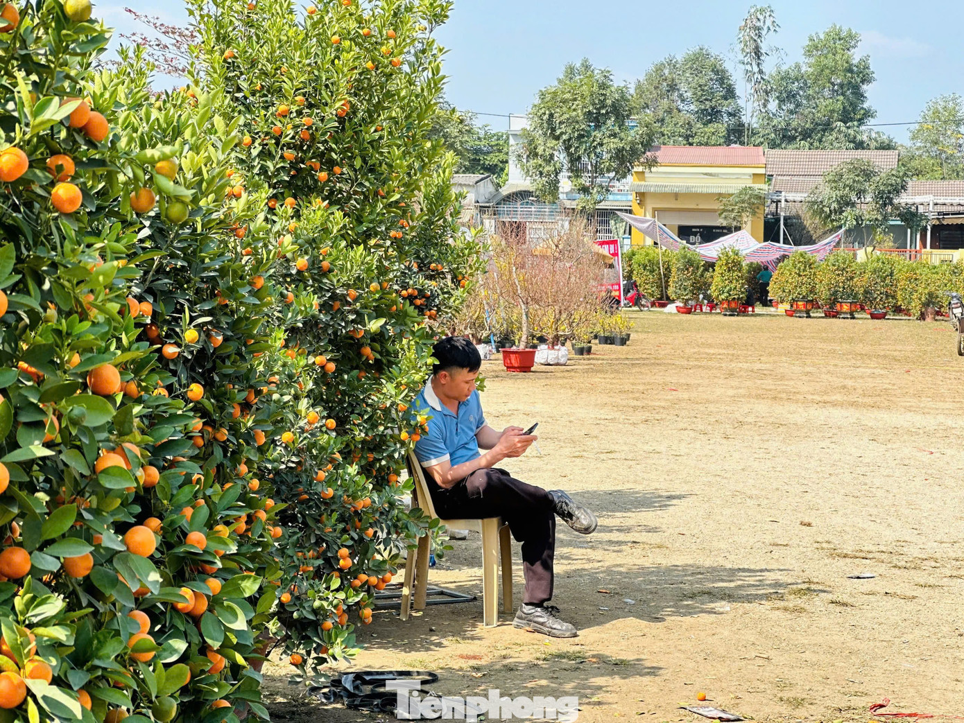 Không khí ngày Tết tại các khu chợ ở Hà Tĩnh ảm đạm, số lượng cây cảnh, hoa đang rất nhiều. Trước tình hình bán buôn ế ẩm, nhiều tiểu thương đang phải đối mặt với viễn cảnh đón một cái Tết buồn vì thua lỗ.