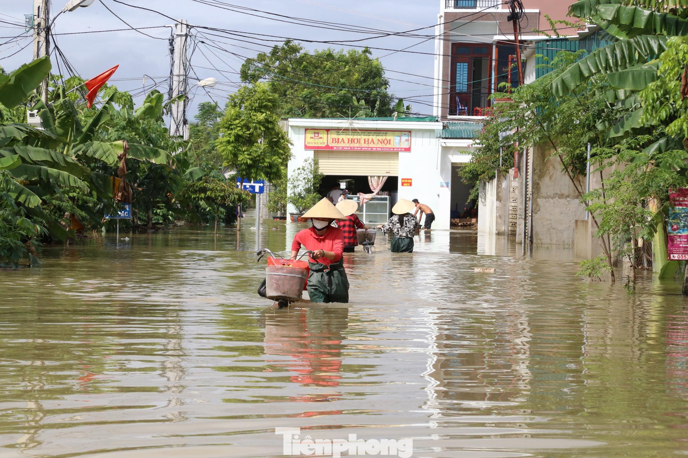 Mưa gây ngập lụt ở huyện Quỳnh Lưu