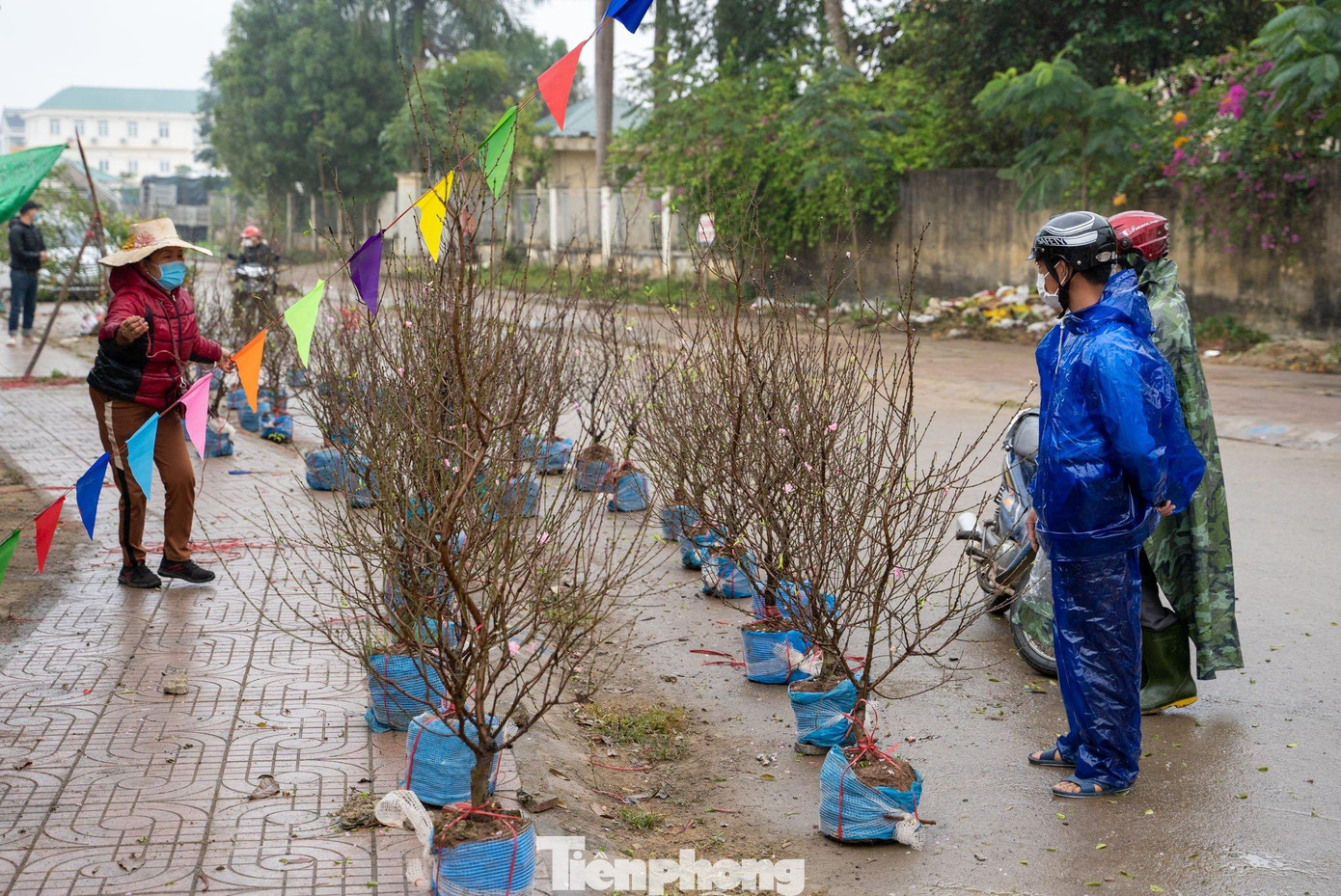 Thi thoảng mới có người đến hỏi mua