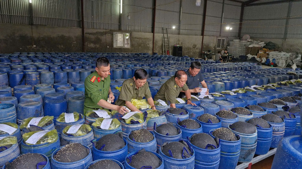 Lực lượng chức năng niêm phong tang vật – các thùng chứa giá đỗ ngâm hóa chất