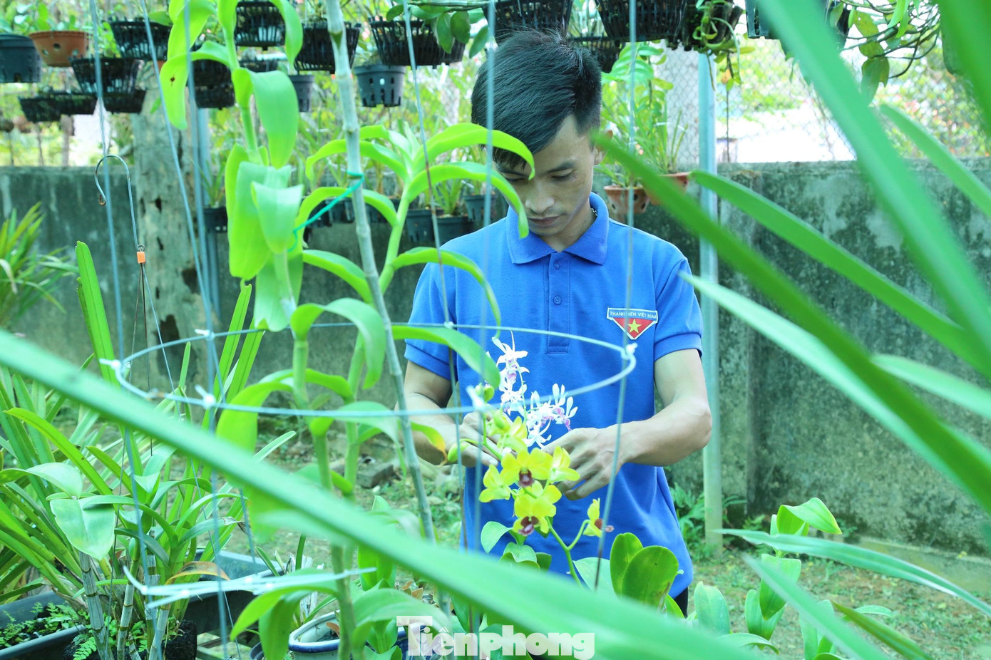 Lô Văn Bình bên những giò lan rừng Lô Văn Bình bên những giò lan rừng